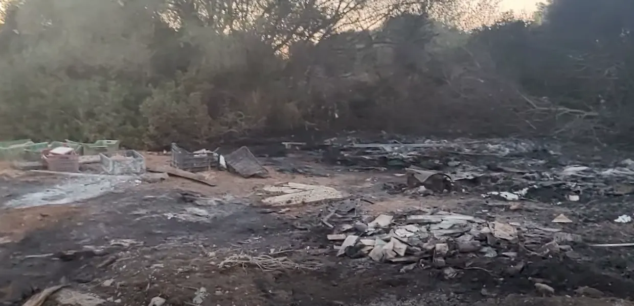 Incendio di Montecalvo a Vittoria, Zingaro denuncia: "Tutti sanno, ma fanno finta di non vedere"