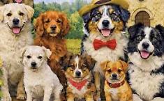 Ragusa, a Puntarazzi la sfilata di simpatia per cani meticci e di razza