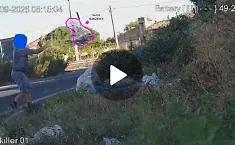 Chiaramonte, il sindaco Cutello: "Beccato l'ennesimo suino degli Iblei"