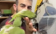 "Dietro quei numeri ci sono 377 vite": l'Oipa iblea racconta il volto nascosto dei sequestri di animali