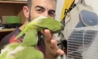 "Dietro quei numeri ci sono 377 vite": l'Oipa iblea racconta il volto nascosto dei sequestri di animali
