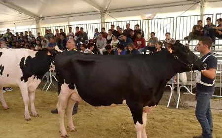 La zootecnia al centro della 51esima edizione della Fam di Ragusa