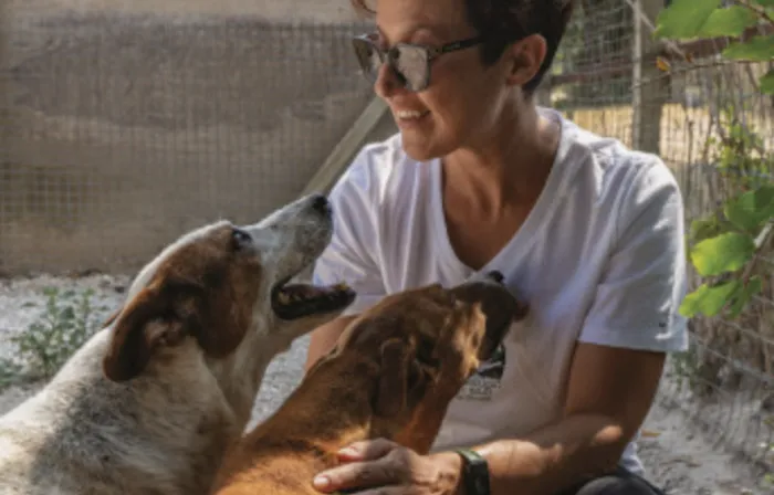 Chiaramonte, una giornata dedicata a incentivare l'adozione dei cani