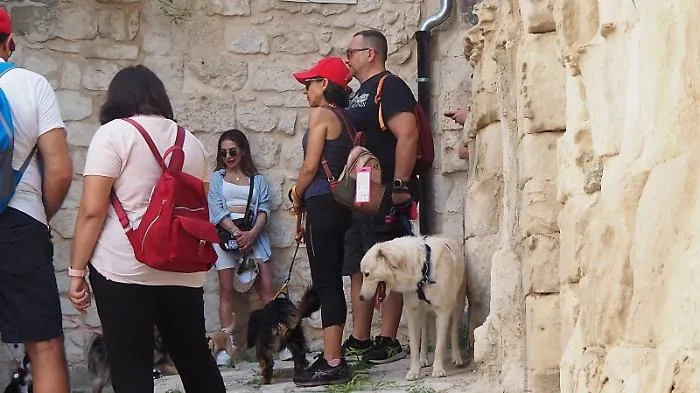 Scicli apre l'estate con la passeggiata a sei zampe