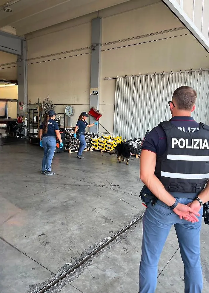 Controlli al mercato ortofrutticolo, contestate sei sanzioni amministrative