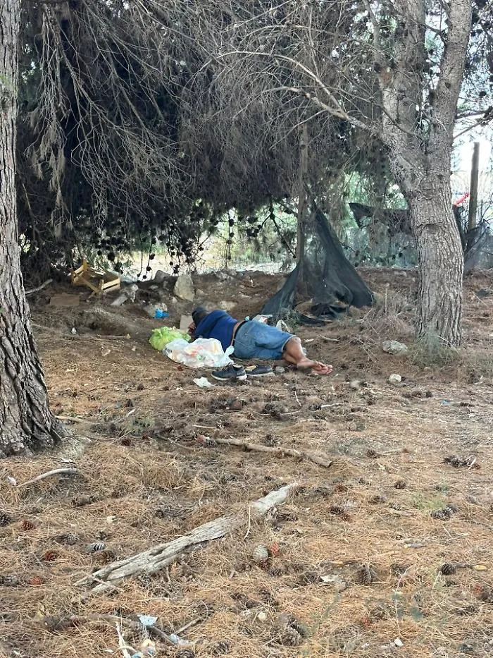 Vittoria, i volontari vanno a pulire il boschetto dai rifiuti e trovano un senzatetto che dormiva