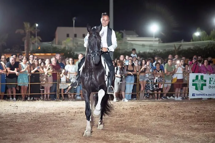 Spettacoli equestri protagonisti alla 51esima edizione della Fam di Ragusa