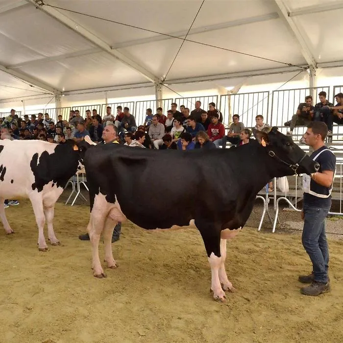 La zootecnia al centro della 51esima edizione della Fam di Ragusa