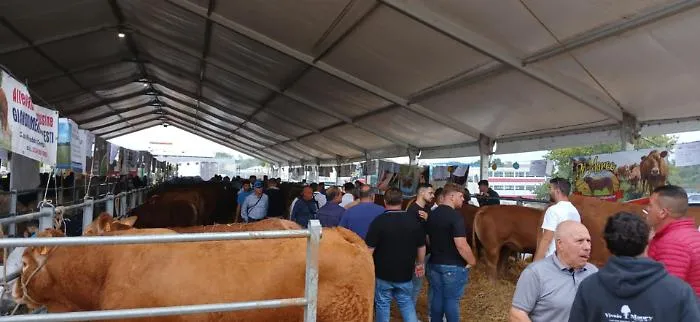 Ragusa, all'inaugurazione della Fam annunciata la presenza di Sbardella e Razza