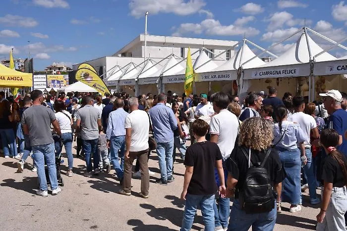 Cinquantunesima edizione della Fam a Ragusa, boom di visitatori nella giornata finale