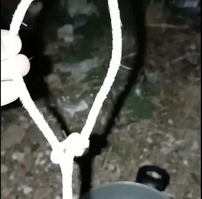 Orrore nelle campagne di Vittoria: cane trovato legato al collo a un cancello
